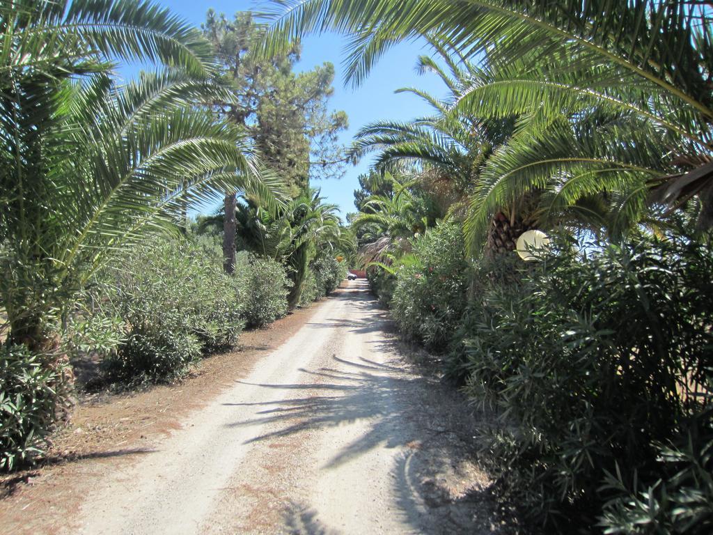 Le Ginestre Alghero Olmedo Exterior photo